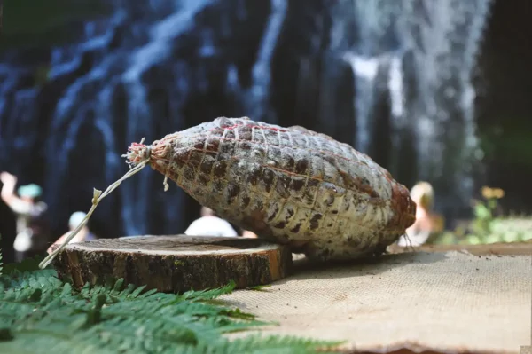 La noix de jambon Auvergne des Salaisons de Montagnac