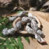 La saucisse grelot apéritif des Salaisons de Montagnac