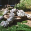 La saucisse grelot Haute-Loire des Salaisons de Montagnac