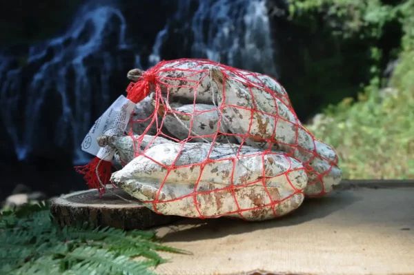 Le filet de saucisson Haute-Loire en promotion des Salaisons de Montagnac
